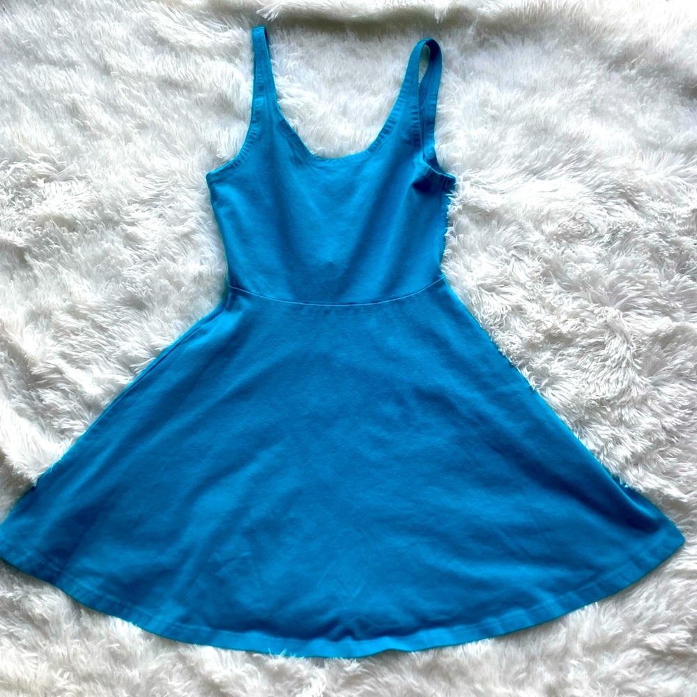 Express Skater dress